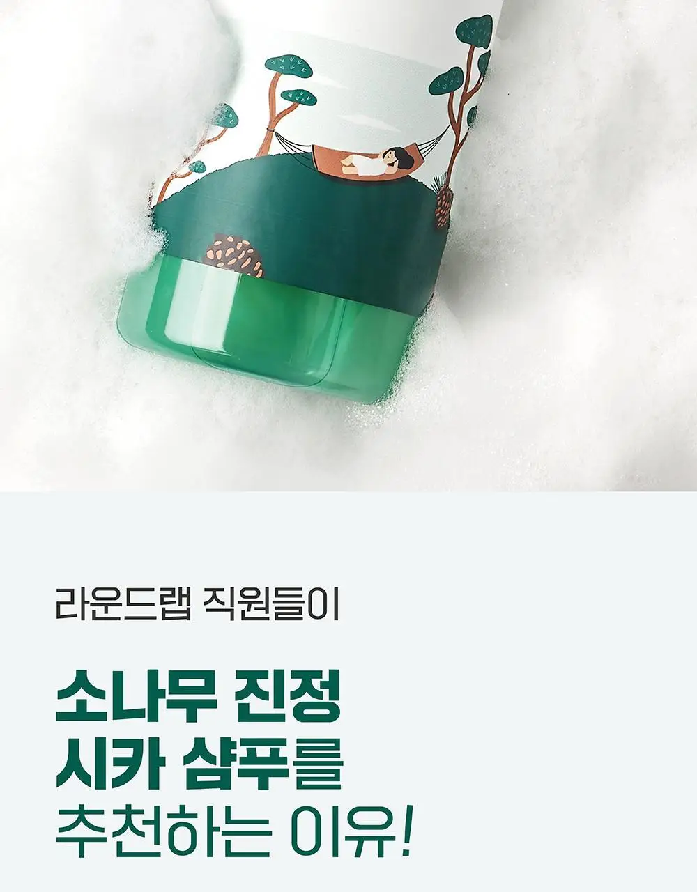 [탈모완화] 라운드랩 소나무 진정 시카 샴푸 400ml 상세페이지 2
